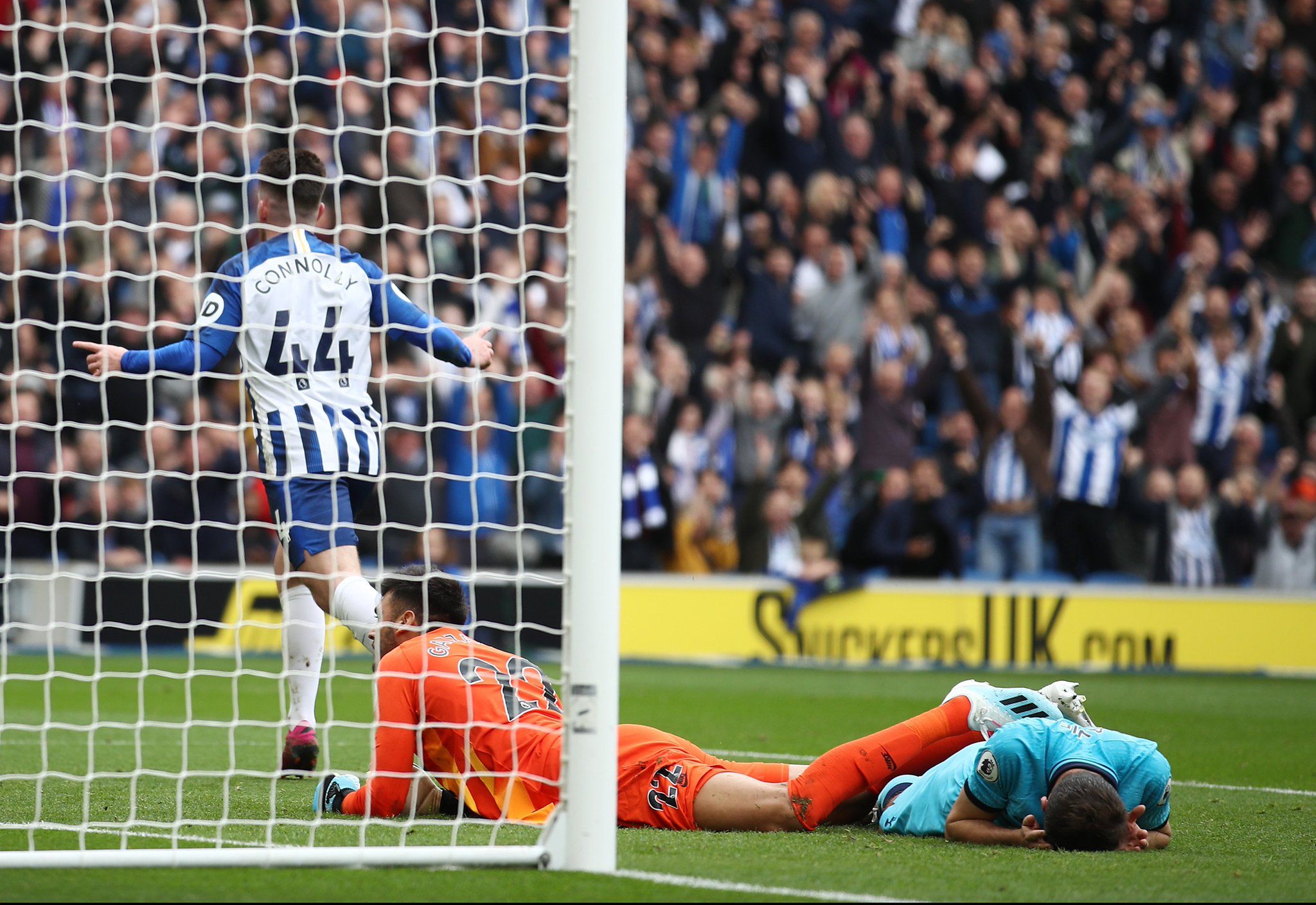 定性和可能 定性和可能